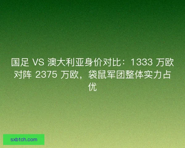 国足 VS 澳大利亚身价对比：1333 万欧对阵 2375 万欧，袋鼠军团整体实力占优